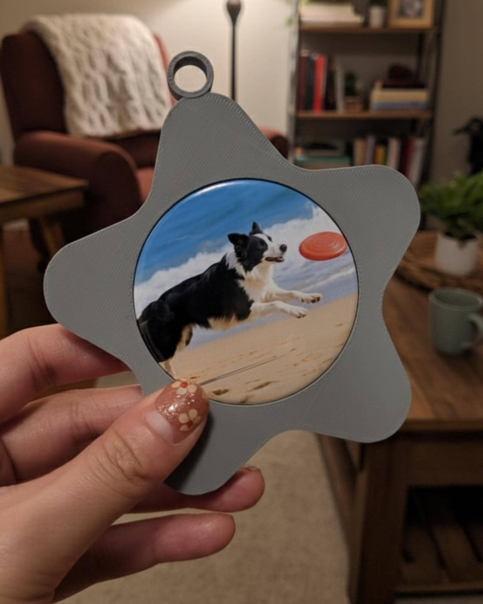 Magnet Star Ornament bundle 10 Frames