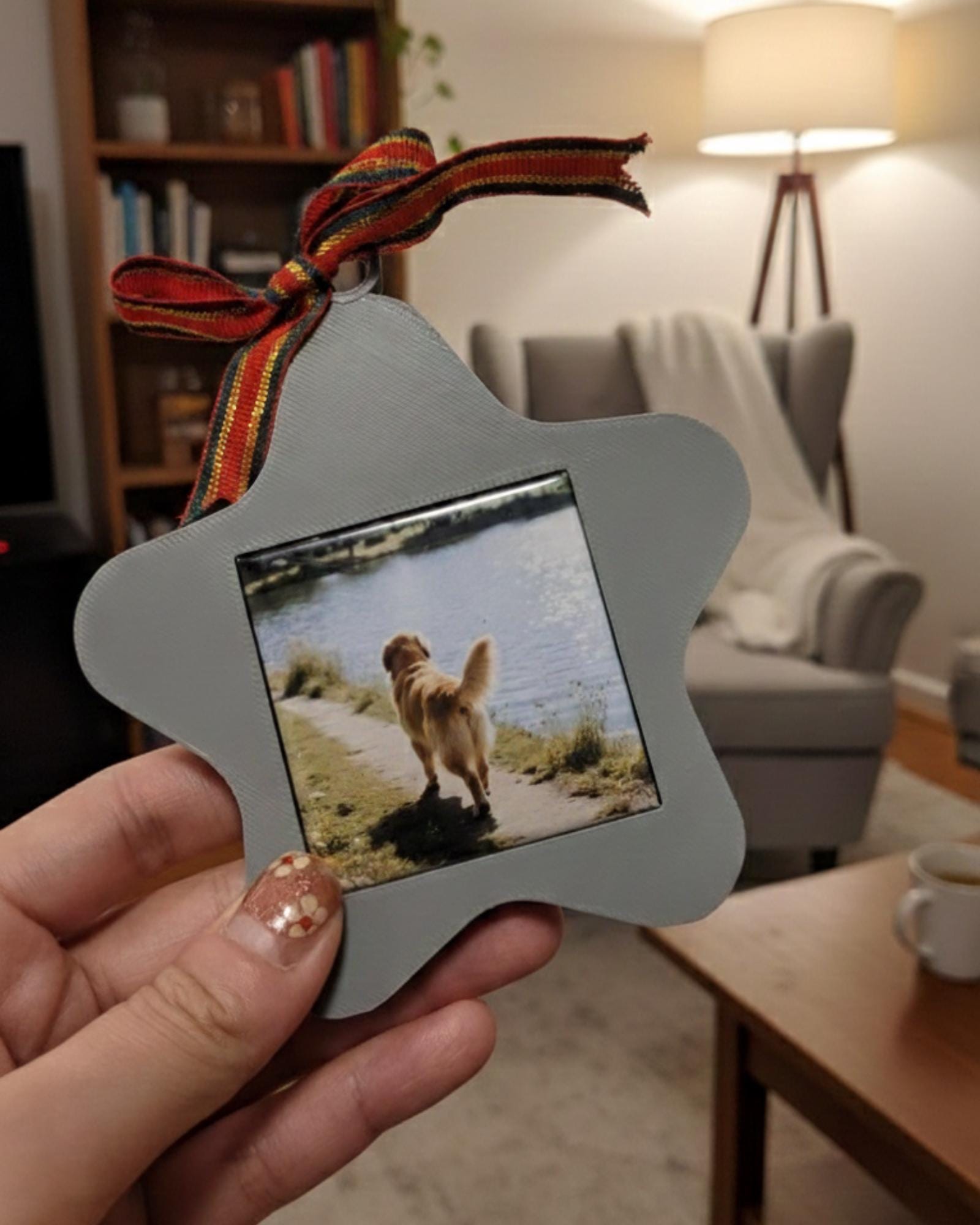 Magnet Star Ornament bundle 10 Frames