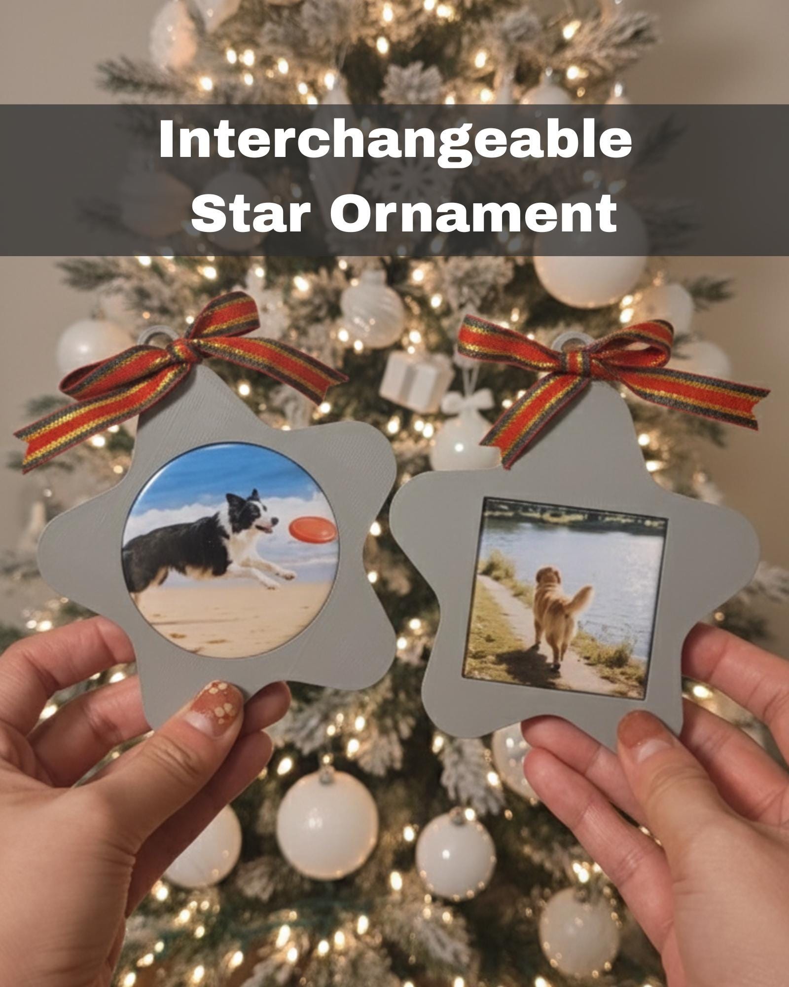 Magnet Star Ornament bundle 10 Frames